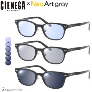 エーグル 可視光調光 サングラス AG-6028 col.3 55mm AIGLE アートEX