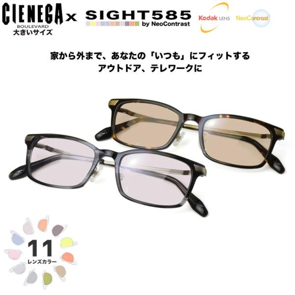 大きいサイズ シェネガ CN-K34 55サイズ サングラス SIGHT585 サイト585 サング...