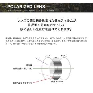 RENOMA コダック ポラマックス タフ 偏...の詳細画像2