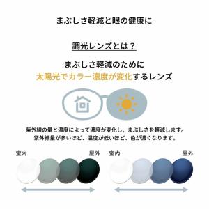 ラコステ L2943LB 49サイズ ルティー...の詳細画像3