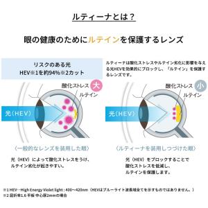 ラコステ L2943LB 49サイズ ルティー...の詳細画像4