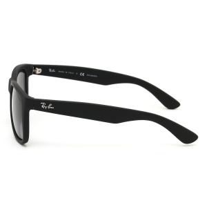 Ray-Ban レイバン サングラス RB41...の詳細画像3