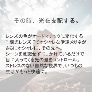 レイバン RX5017A 52サイズ 調光 サ...の詳細画像2