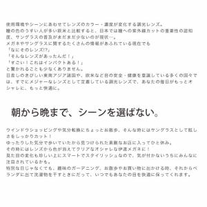 レイバン RX5017A 52サイズ 調光 サ...の詳細画像3