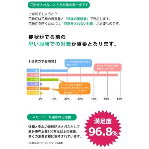 【メール便送料無料】スカッシースタイル キッズ...の詳細画像3