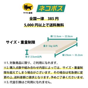 複合高周波EMS ダブルインパクトシェイプ 専...の詳細画像5