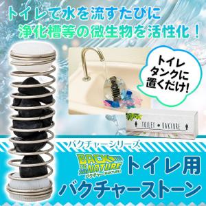 トイレ用 バクチャーストーンの詳細画像1