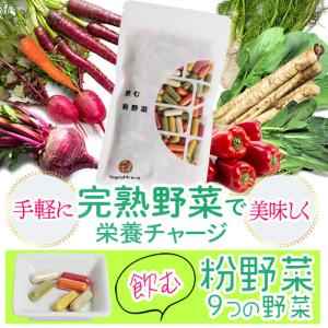 飲む粉野菜(9つの野菜) 180粒入の詳細画像1