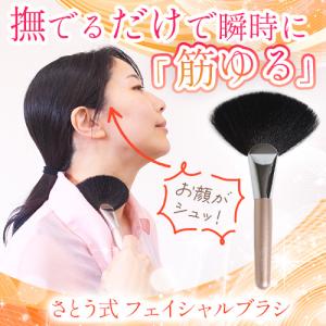 さとう式 フェイシャルブラシの詳細画像1