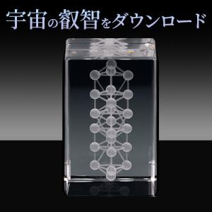 3Dカバラ パドマ（ステンレス） : トータルヘルスデザイン - 通販