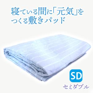 すこやか ポットタイプ（大） : トータルヘルスデザイン - 通販