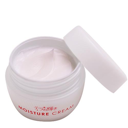 オールインワンジェル テラの輝き モイスチャークリーム 100g