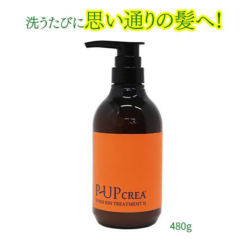 P-UPクレア　水素イオントリートメントII　480g
