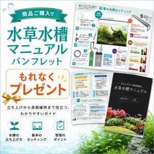 熱帯魚 水槽 掃除用品 コケ取り剤 さらに水草...の詳細画像1