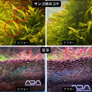 熱帯魚 水槽 掃除用品 コケ取り剤 さらに水草...の詳細画像5