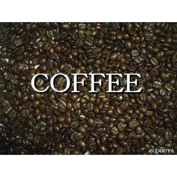 コーヒー豆 500g×1種 豆の種類＆挽き方選べる ブラジルで修業した珈琲アドバイザーが焙煎していま...