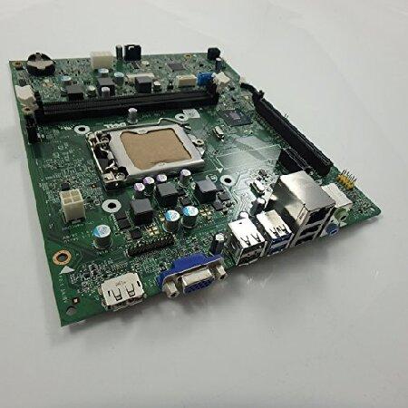 Dell Motherboard 並行輸入