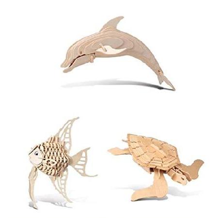 Puzzled Angel Fish、ボトル鼻Dolphin and Green Turtle 3d...