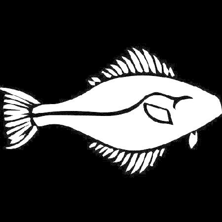 Decal Stickers Of Wonderful Halibut Fish (White) P...