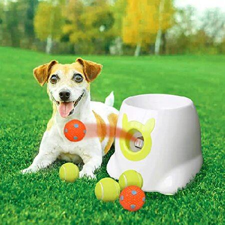 YEEGO DIRECT Dog Ball Launcher, Automatic Dog Ball...