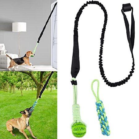 Eaersan Spring Pole Dog Rope Toys,Dog Interactive ...