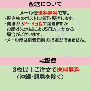 おもしろ Tシャツ メンズ パロディ 諦めるこ...の詳細画像5