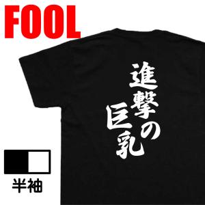 おもしろ Tシャツ メンズ パロディ 風雅筆 進撃の巨乳 漢字 文字 tシャツ 雑貨 文字tシャツ 面白 大きいサイズ 文字入り