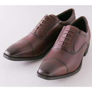 紳士靴 テクシーリュクス ビジネスシューズ texcy luxe TU-7010 ワイン アシックス商事 送料無料（一部地域除く）