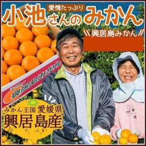 (送料込み) 小池さんのみかん ご家庭用 Sサイズ 10kg 11月15日から順次発送 産地直送 愛媛県 興居島 お歳暮 果物 みかん(期日指定できません)