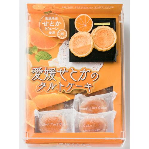 名所堂 愛媛せとかタルトケーキ(大)14個 松山お土産｜4909466021528