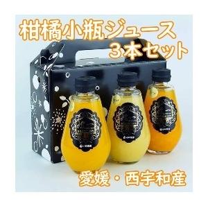 【産地取り寄せ商品】柑橘 小瓶ジュース 3本セット(みかん・せとか・はるか) (農ぷらす愛媛)(stk-211-83119)|柑橘 みかん せとか はるか