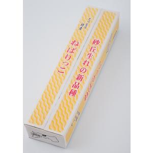 【産地取り寄せ商品】JA鳥取中央 長いも(ねばりっこ) 2Lサイズ 3kg箱 (広本商店)（stk-212-10629）| 長いも ながいも 山芋 ヤマイモ 野菜