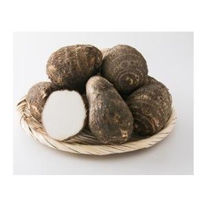 伊予美人 さといも 2l 10kg 愛媛県産 期日指定できません Stk 212 409 スーパーフジの通販 Fuji Netshop 通販 Yahoo ショッピング