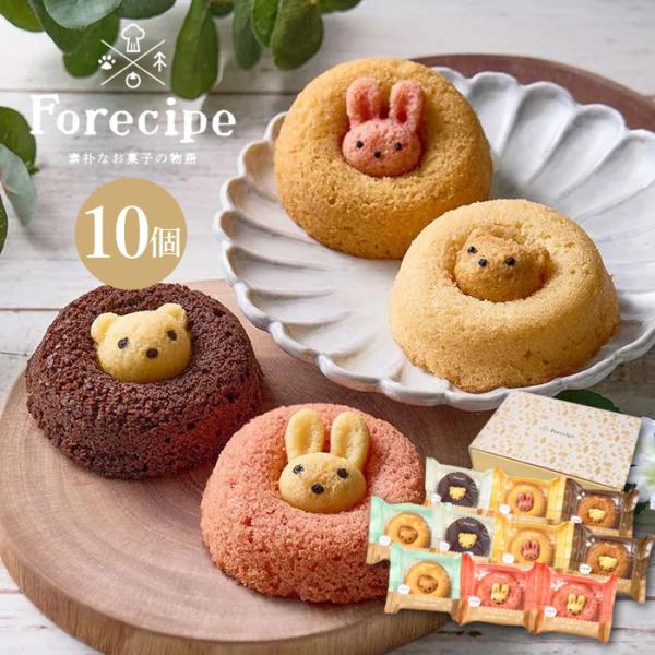 Forecipe （フォレシピ） 「ちいさな森のドーナツ 10個」 焼き菓子 詰め合わせ ギフト 【...