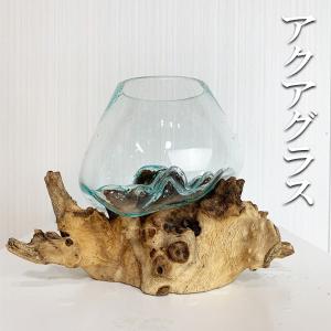 ガラスオブジェ アクアグラス アクア盆栽 テラリウム
