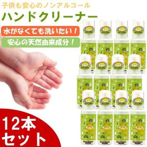 12本セット ケミコート ハンドクリーナー 除菌スプレー 抗菌 ノンアルコール 日本製 携帯用 子供 赤ちゃん 手洗い 携帯用 携帯 持ち運び｜the-hacienda