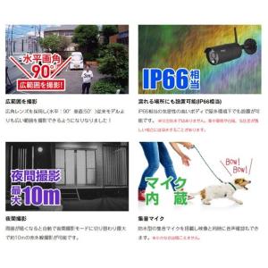 キャロットシステムズ 外付HDD対応 フルHD...の詳細画像2