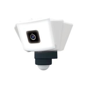 RITEX LEDセンサーライト 防犯カメラ 8W×2灯式 C-AC8160 Amazon | ムサシ RITEX フリーアーム式LEDセンサーライト防犯