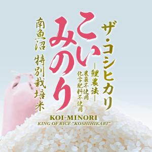 新米 有機栽培米　魚沼産コシヒカリ こいみのり・玄米　5Kg｜the-koshihikari