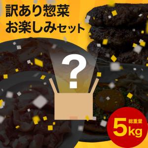 送料無料 お楽しみセット 5kg 訳あり お肉 肉 豚肉 ハンバーグ 惣菜 冷凍 冷凍食品 詰め合わせ