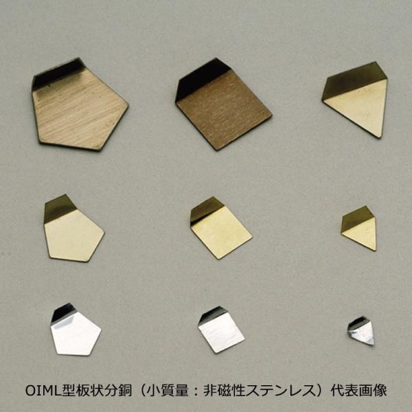 OIML型板状分銅（M1PSO-10M：10mg）M1級（2級）分銅（小質量：非磁性ステンレス）