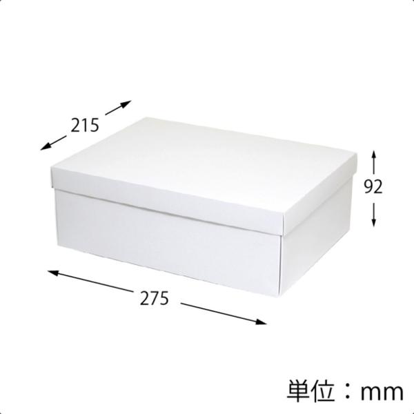 HEIKO 箱 白無地汎用ボックス カバン箱A（10枚）（内寸法：215×275×高92mm）