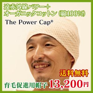 PAMYROL 頭皮ケア パミロール ヘアートニック エキストラクト 250ml