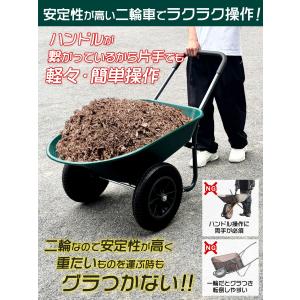 二輪車 ネコ ノーパンクタイヤ 一輪車 耐荷重...の詳細画像3