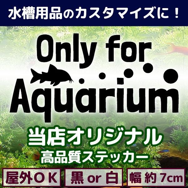 コリドラス カッティングステッカー おしゃれ Sサイズ 文字 Only for Aquarium ア...