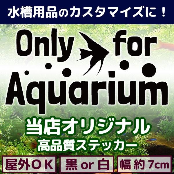 エンゼルフィッシュ カッティングステッカー Sサイズ Only for Aquarium アクアリウ...