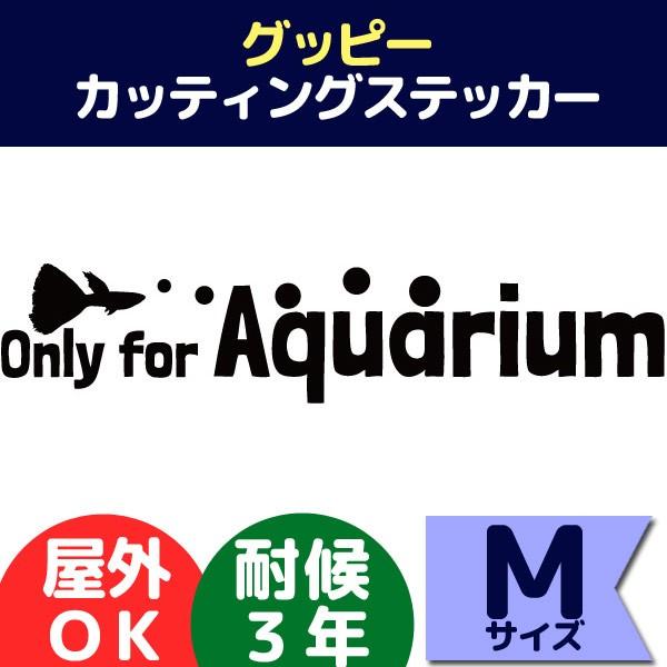 グッピー カッティングステッカー Mサイズ Only for Aquarium アクアリウム ブラッ...