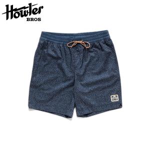 ボードショーツ ハウラーブラザーズ(HOWLER BROTHERS) Deep Set Boardshorts-Microdot:Petrol Blue