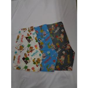 サンサーフ　SUNSURF　COTTON SEERSUCKER SHORTS “TRIP TO HA...