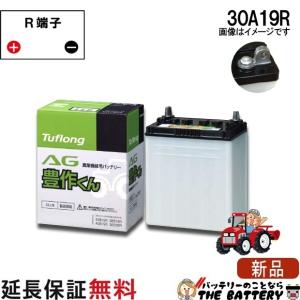 昭和電工マテリアルズ 40B19R 自動車 バッテリー トラクター 農機用